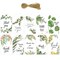 Wrapables Thank You Gift Tags/Kraft Paper Hang Tags for Weddings, Bridal Showers, Baby Showers (50pcs), Green Nature